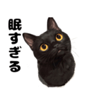 かわいい黒猫ちゃんのスタンプ（個別スタンプ：2）