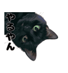 かわいい黒猫ちゃんのスタンプ（個別スタンプ：3）