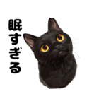 かわいい黒猫ちゃんのスタンプ（個別スタンプ：7）