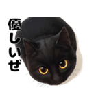 かわいい黒猫ちゃんのスタンプ（個別スタンプ：8）