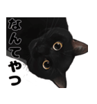 かわいい黒猫ちゃんのスタンプ（個別スタンプ：16）