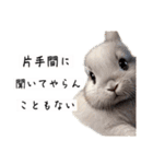 許すまじなうさぎのスタンプ（個別スタンプ：2）