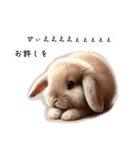 許すまじなうさぎのスタンプ（個別スタンプ：13）