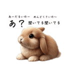 許すまじなうさぎのスタンプ（個別スタンプ：24）