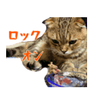 サービスセンターの日常（個別スタンプ：8）