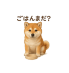 柴犬あるあるスタンプ②（個別スタンプ：1）