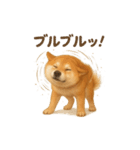 柴犬あるあるスタンプ②（個別スタンプ：3）