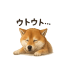 柴犬あるあるスタンプ②（個別スタンプ：8）
