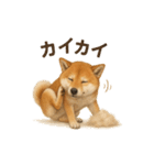柴犬あるあるスタンプ②（個別スタンプ：9）