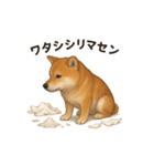 柴犬あるあるスタンプ②（個別スタンプ：10）