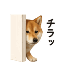 柴犬あるあるスタンプ②（個別スタンプ：21）
