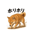 柴犬あるあるスタンプ②（個別スタンプ：23）