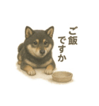 柴犬あるあるスタンプ③（個別スタンプ：3）