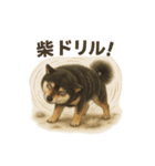 柴犬あるあるスタンプ③（個別スタンプ：9）