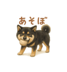 柴犬あるあるスタンプ③（個別スタンプ：11）