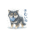 柴犬あるあるスタンプ③（個別スタンプ：16）