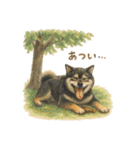 柴犬あるあるスタンプ③（個別スタンプ：17）