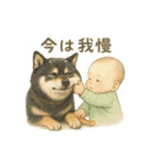 柴犬あるあるスタンプ③（個別スタンプ：20）