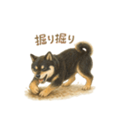 柴犬あるあるスタンプ③（個別スタンプ：21）