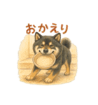 柴犬あるあるスタンプ③（個別スタンプ：22）