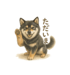 柴犬あるあるスタンプ③（個別スタンプ：23）