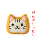 お稲荷にゃん、アゲアゲで一言（個別スタンプ：12）