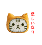 お稲荷にゃん、アゲアゲで一言（個別スタンプ：19）