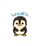 ペンギンのぺの丸スタンプ（個別スタンプ：5）