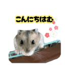 とのまるの日常。（個別スタンプ：3）