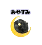 とのまるの日常。（個別スタンプ：4）