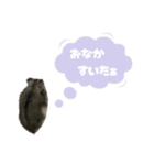 とのまるの日常。（個別スタンプ：5）