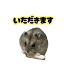 とのまるの日常。（個別スタンプ：6）