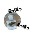 とのまるの日常。（個別スタンプ：8）