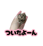 とのまるの日常。（個別スタンプ：10）