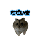 とのまるの日常。（個別スタンプ：11）
