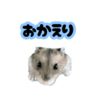 とのまるの日常。（個別スタンプ：12）