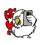インコの日常会話面白い（個別スタンプ：1）