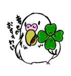 インコの日常会話面白い（個別スタンプ：7）
