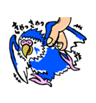 インコの日常会話面白い（個別スタンプ：13）