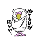 インコの日常会話面白い（個別スタンプ：17）