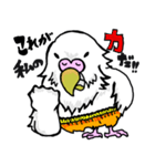 インコの日常会話面白い（個別スタンプ：20）