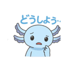 かわいいウーパールーパーの日常スタンプ（個別スタンプ：3）
