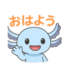 かわいいウーパールーパーの日常スタンプ（個別スタンプ：4）
