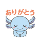 かわいいウーパールーパーの日常スタンプ（個別スタンプ：6）