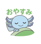 かわいいウーパールーパーの日常スタンプ（個別スタンプ：13）