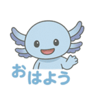 かわいいウーパールーパーの日常スタンプ（個別スタンプ：16）