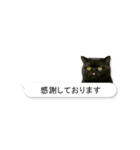 敬語な黒エキゾチックショートヘア（個別スタンプ：2）