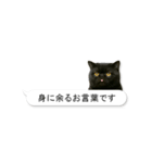 敬語な黒エキゾチックショートヘア（個別スタンプ：4）