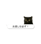 敬語な黒エキゾチックショートヘア（個別スタンプ：5）