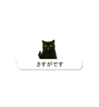 敬語な黒エキゾチックショートヘア（個別スタンプ：7）